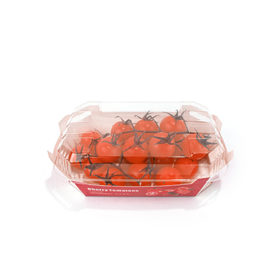 Fruit Kraft Paper Food Trays , Recyclable Custom Printed Paper Food Boats