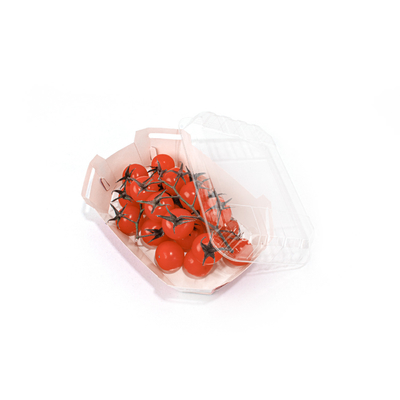 Cherry Fruit And Vegetable Packaging Boxes , Folded Disposable Food Tray Boats