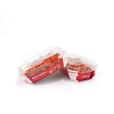 Cherry Fruit And Vegetable Packaging Boxes , Folded Disposable Food Tray Boats