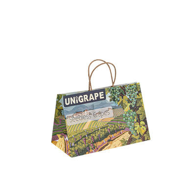 100gsm 150gsm Small Paper Food Bags Sustainable Recyclable With Handle
